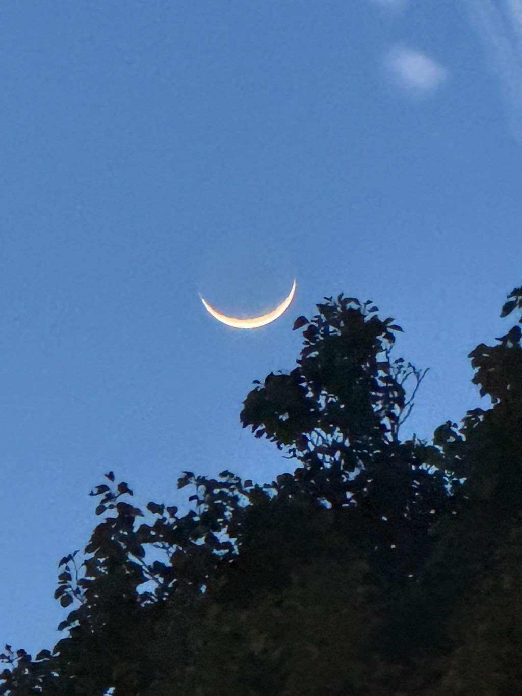 Orbits Around Grief